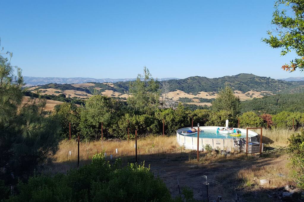 Swimming pool in vineyard
