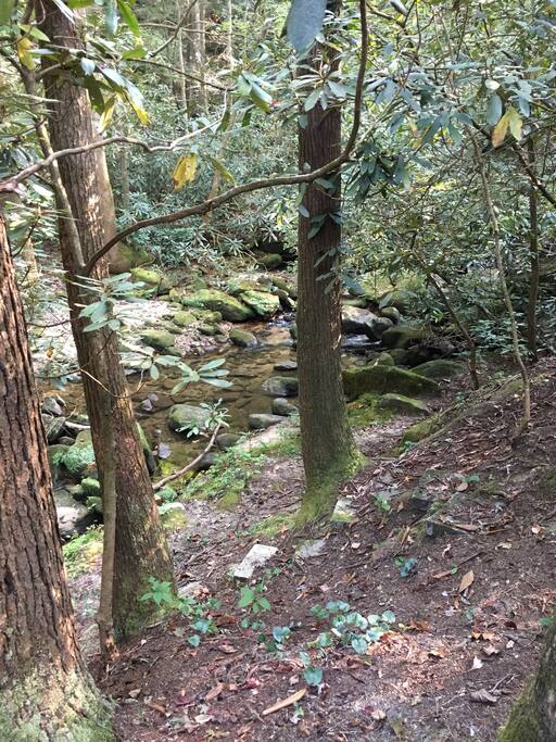 View of Creek