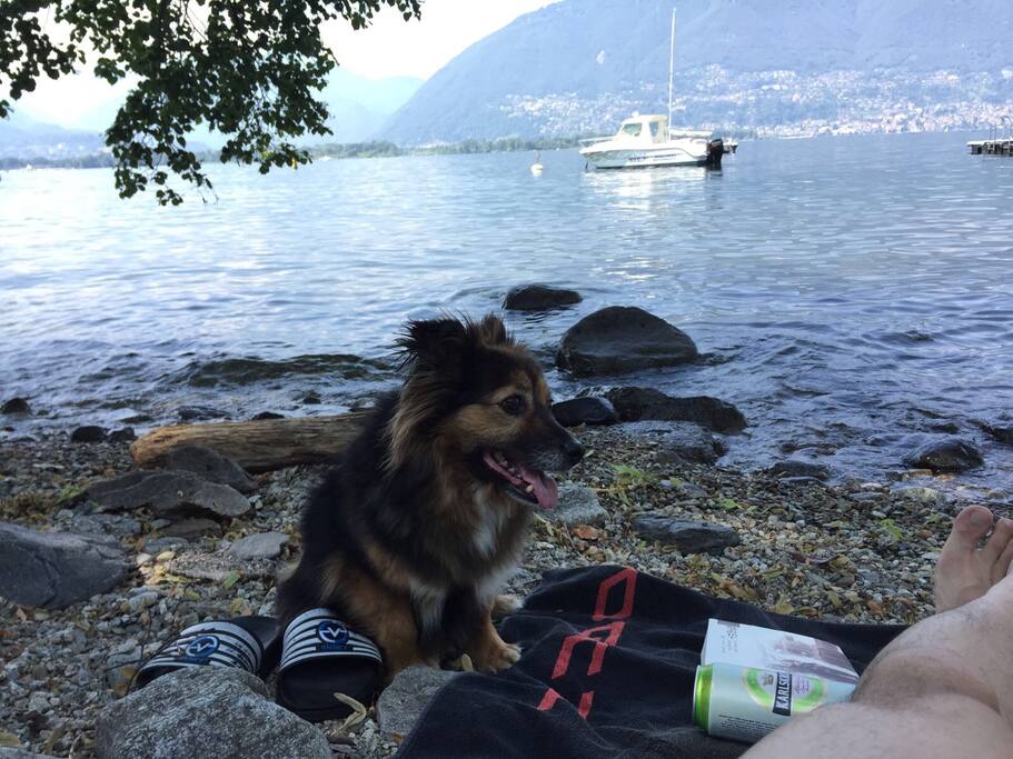 Public beach (5min on foot)