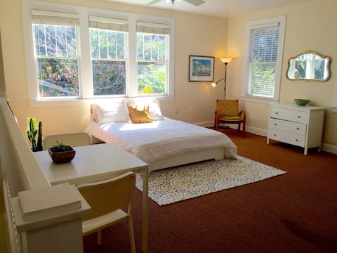 Popular Airbnb listing: Charming Hyde Park Apartment in Historic Hyde Park