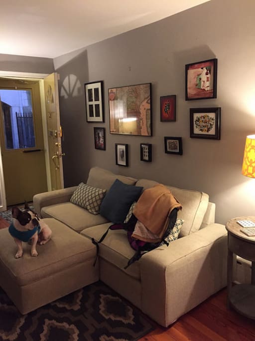 Dog is not included in your stay.