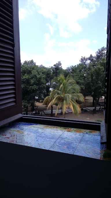 Window of the bedroom