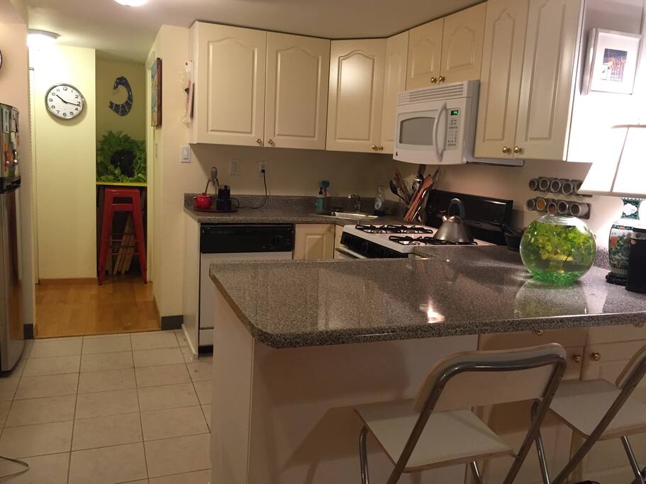Chef's kitchen with a gas stove, dishwasher, microwave, garbage disposal and lots of counter space. Meet our fish Yves!