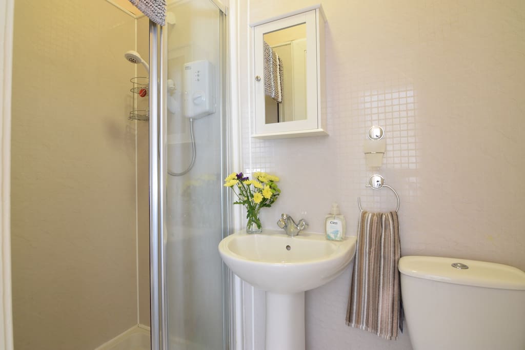 Shower room