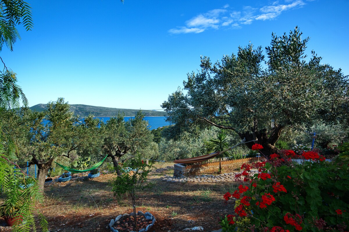 An outdoor space featuring lush olive trees and vibrant red flowers. A gentle slope leads towards a body of water, enhancing the scenic backdrop. A hammock is seen between two trees, offering a relaxing spot within the natural setting.
