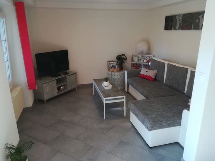 Au Bord Du Lac D'annecy, Appartement Chaleureux ! - Duingt