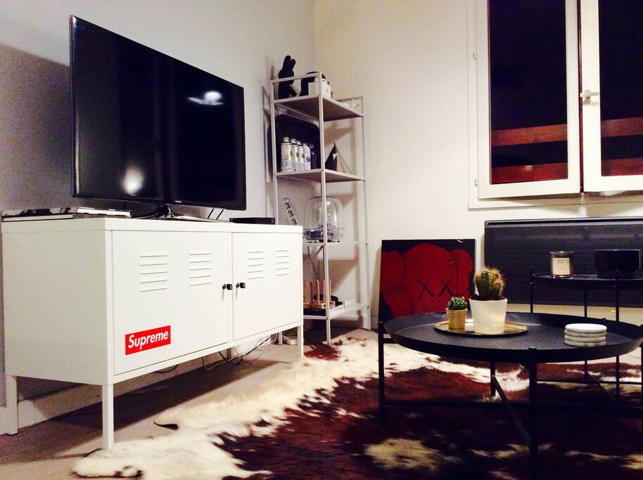 Salon / Living Room