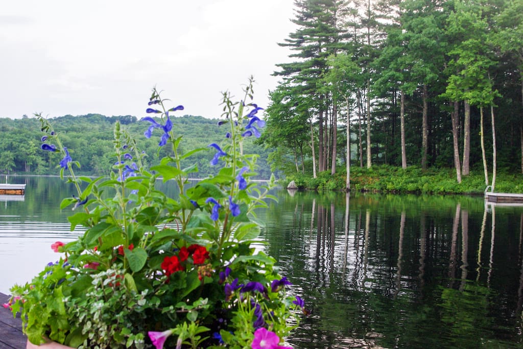 Wiley Neck House on Megunticook Lake Houses for Rent in Lincolnville