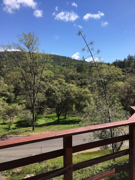 View from the front deck.