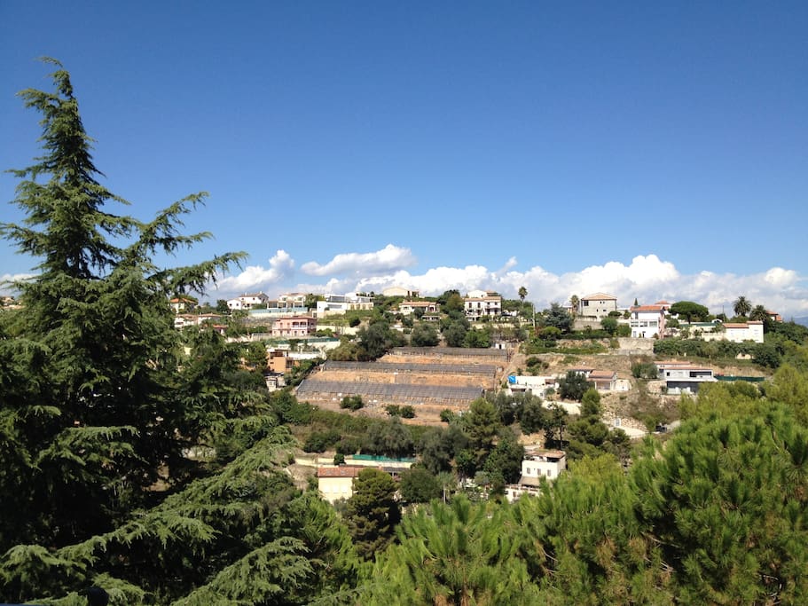 Jolie vue dégagée depuis le balcon sur la forêt en contrebas de l'appartement et sur les collines