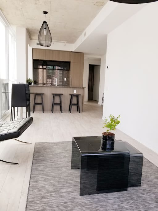Brand New Condo with alot of Space.