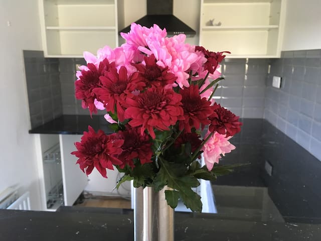 The Lyne's Little Lodge