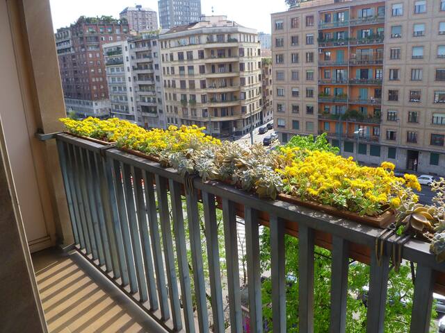 Classic comforts steps from Brera gallery image 3