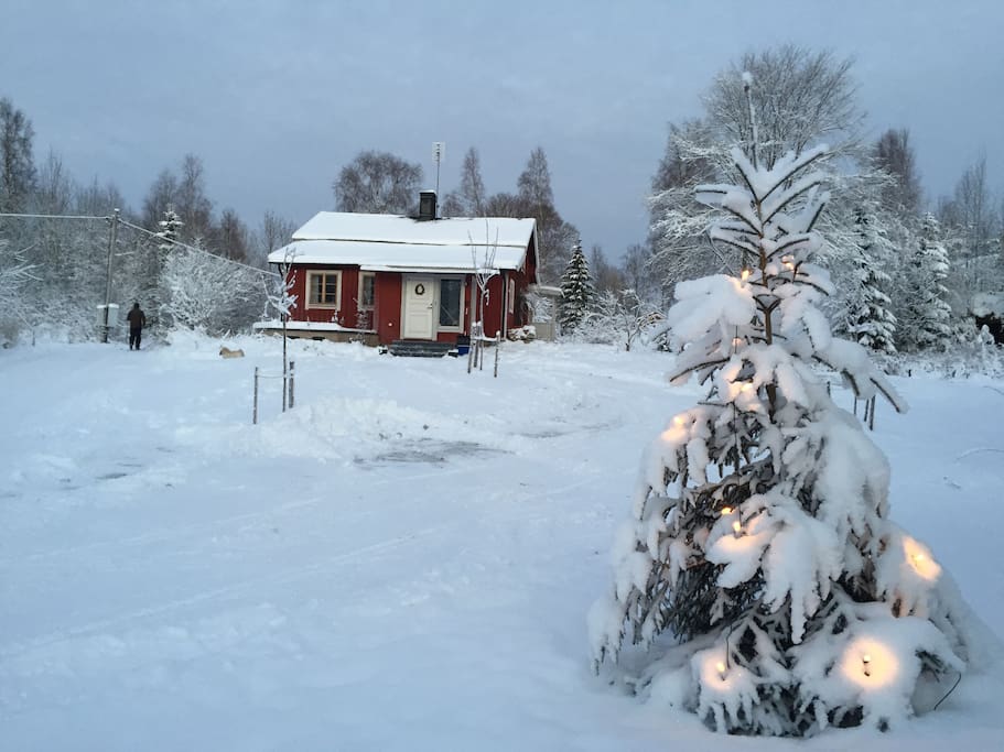 Christmas time, let's go skiing!