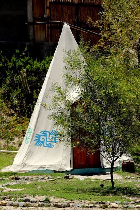 Tipis