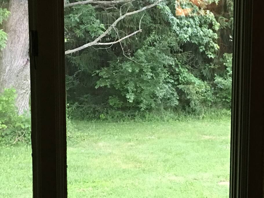 View from bedroom window.