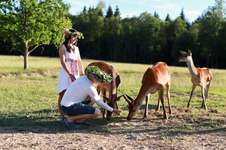 ANNE MILL CHALETS are surrounded by deer.