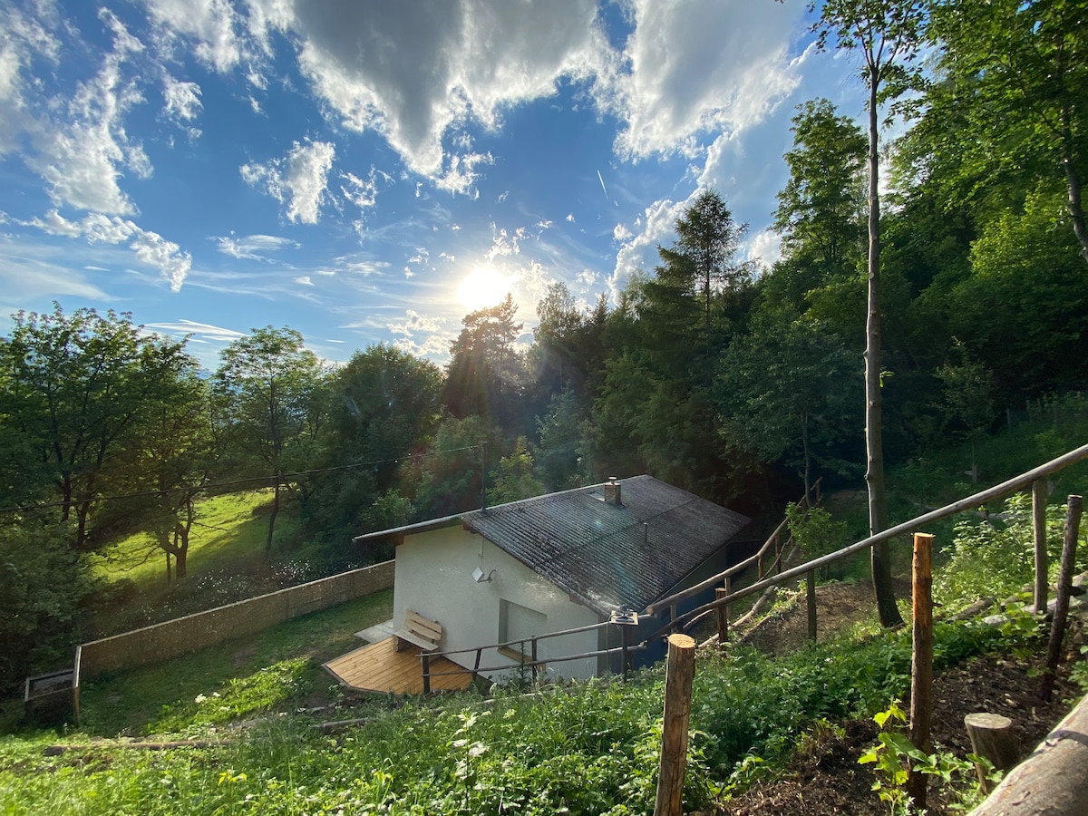 A single-story building is nestled among greenery, with a gentle slope leading to it. Sunlight filters through the clouds, illuminating the exterior and surrounding trees. A wooden deck extends from the structure, providing a serene outdoor space in a natural setting.
