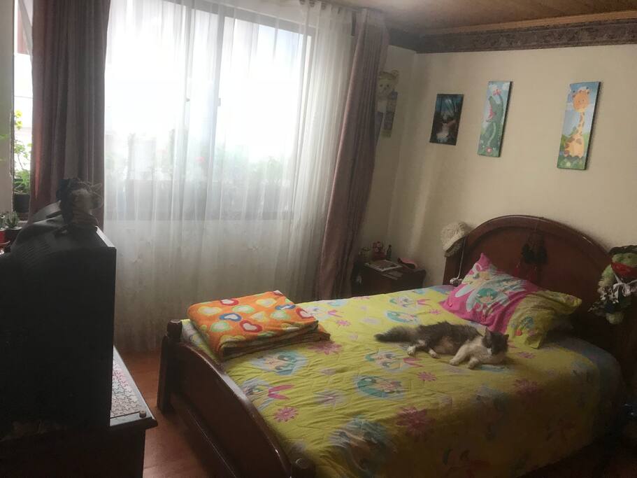 Habitación