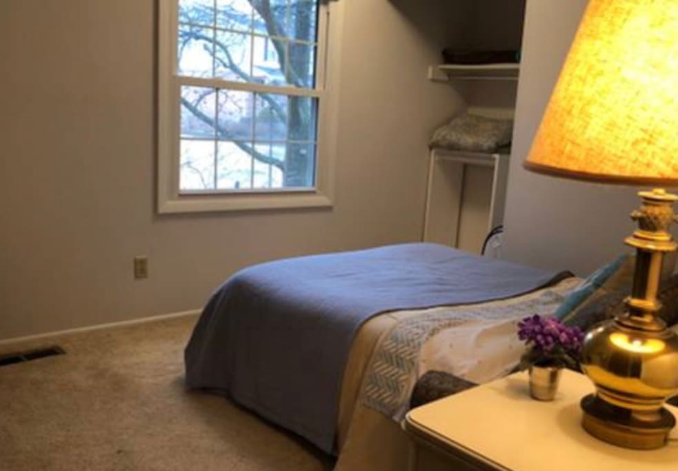 This is the view into your Airbnb room from the doorway to the hall.