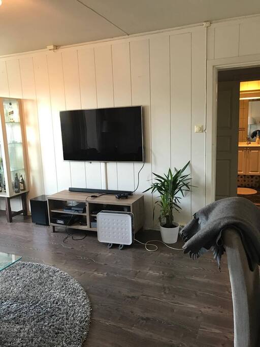 Livingroom