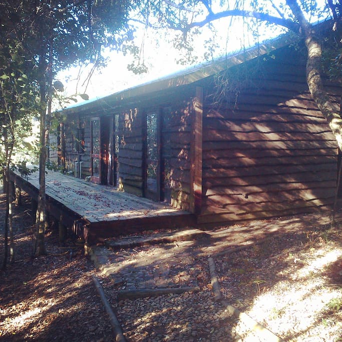 Wooden cabin in the middle of the indigenous forest