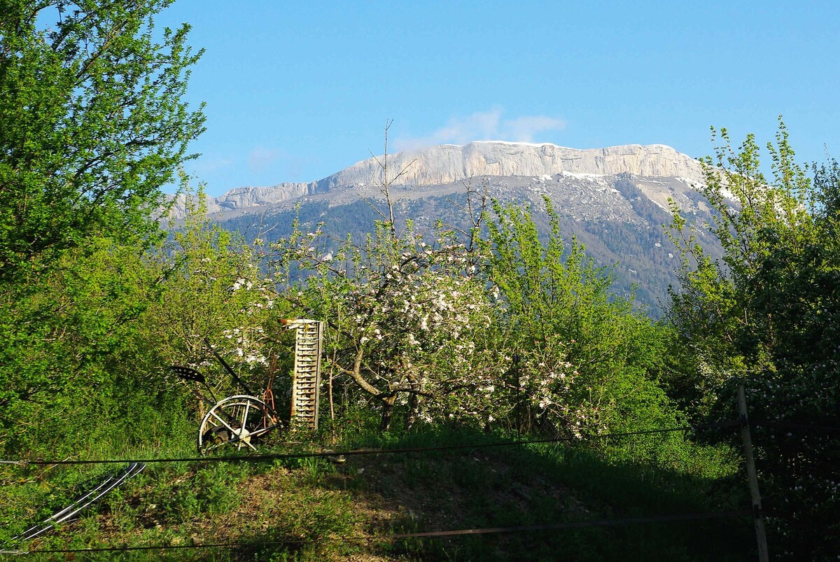 A scenic view of a lush landscape is presented, featuring green trees and blossoming apple trees in the foreground. A rustic wooden cart stands nearby, with a prominent mountain peak visible in the background under a clear blue sky.