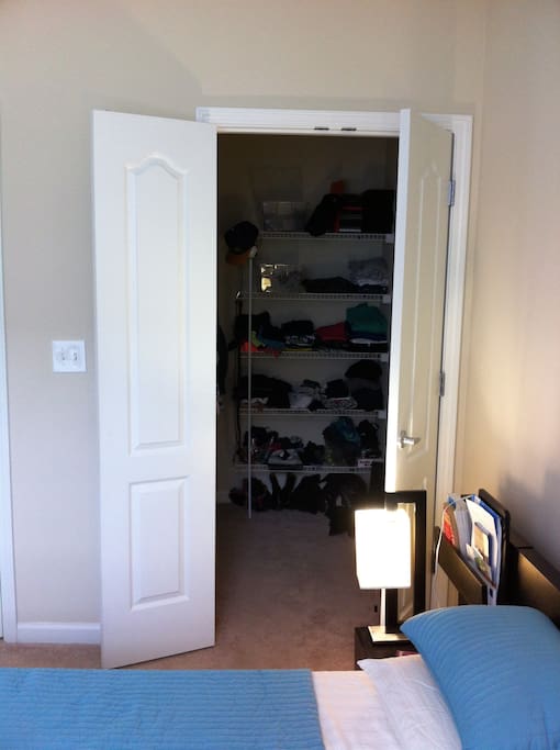 Walk-in closet inside bedroom.