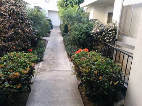 Sunny West LA Apartment