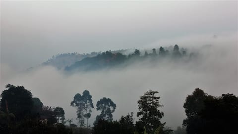 Serene Hill, A Luxury Family Villa