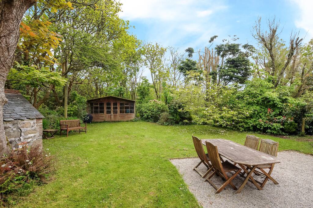 The garden