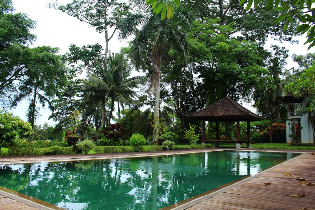 Spacious Swimming Pool 25x6Metres