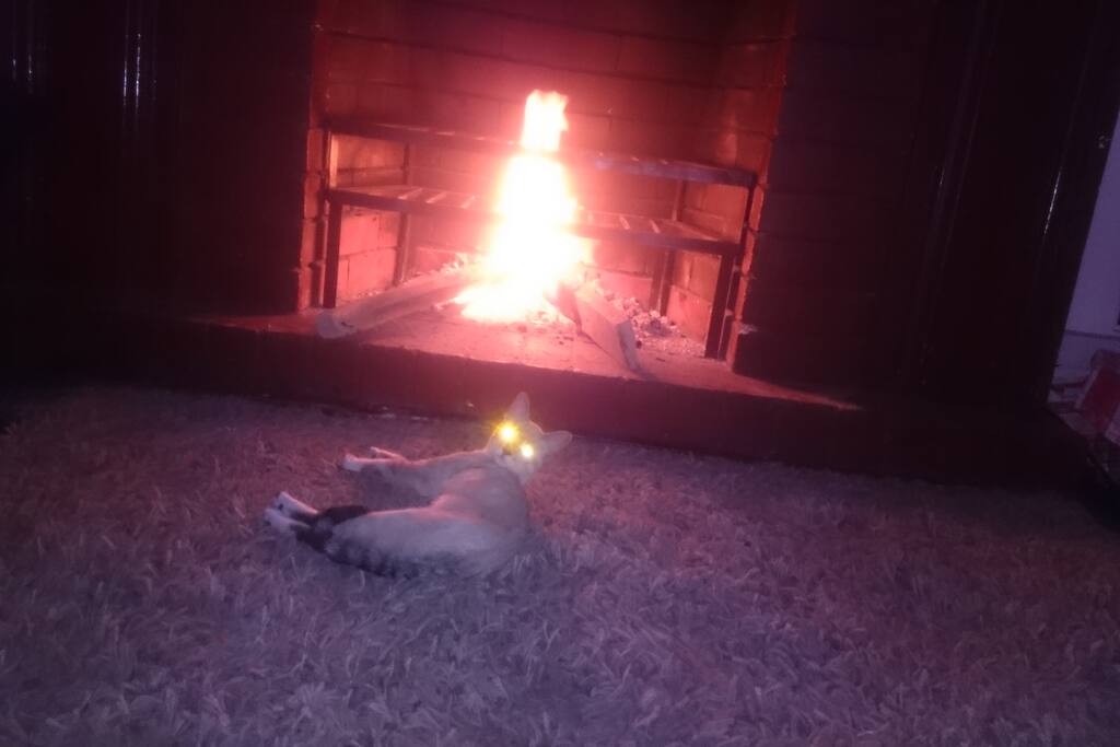 Enjoy the warm fire