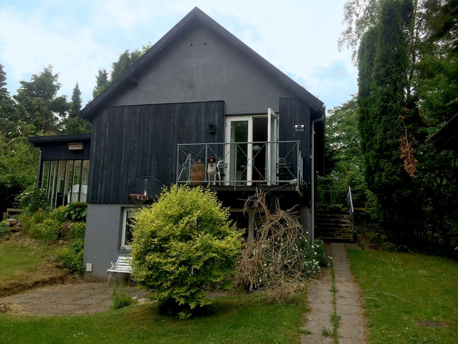The house from the street entrance.
