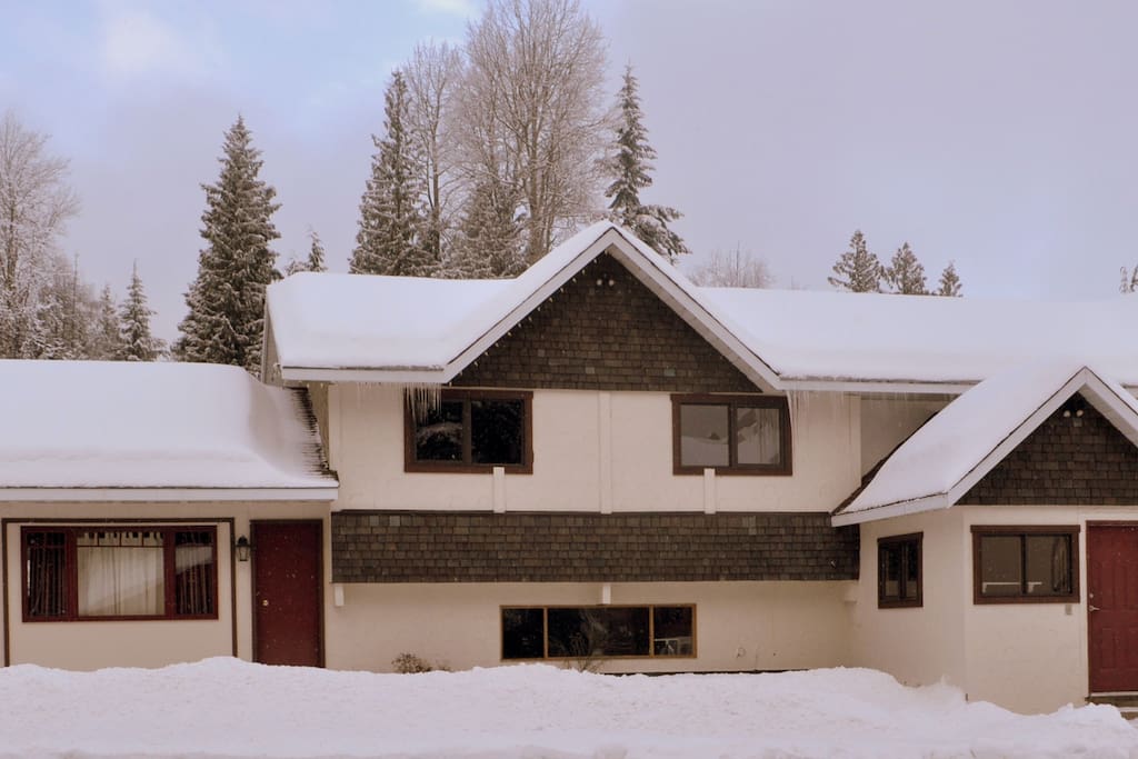Winter time at the Bear House.