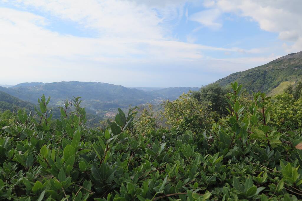 Panorama da Gombitelli