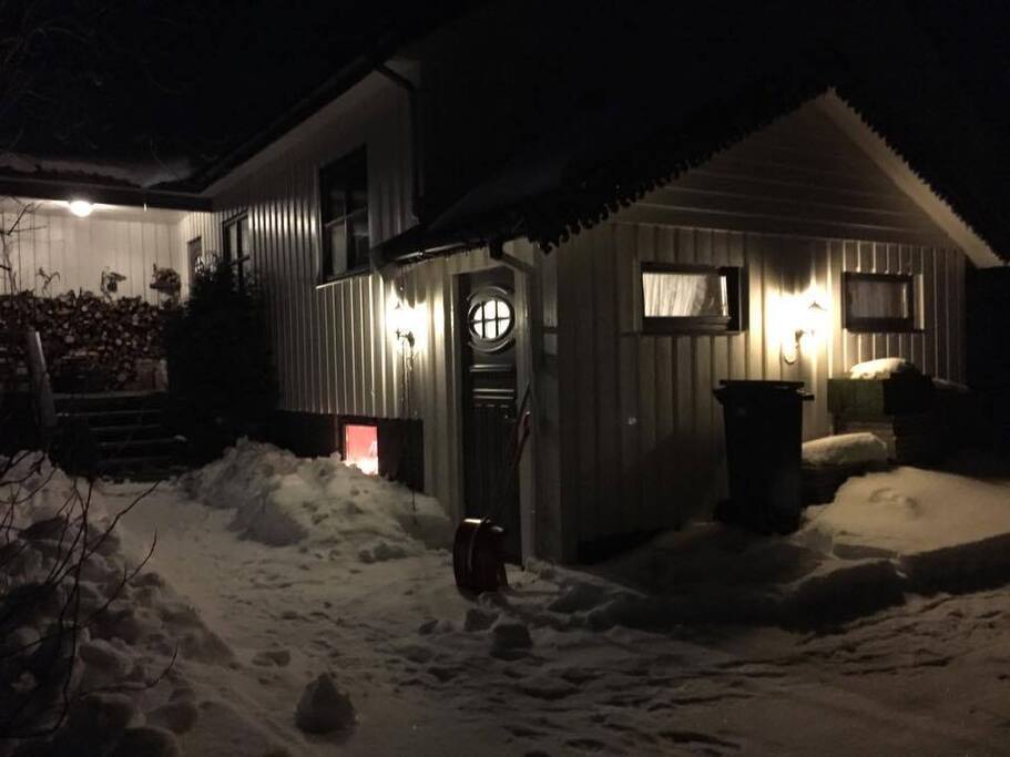 Inngangsparti - vinter