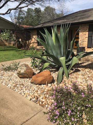 One Story Morning Glory