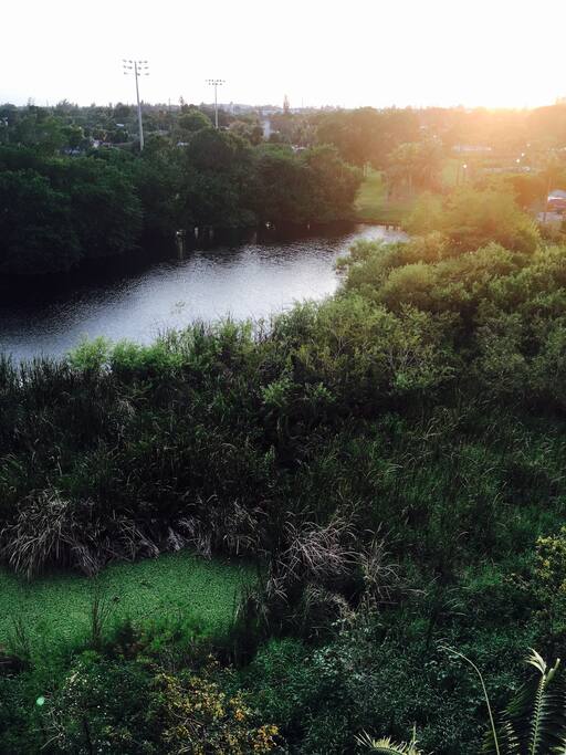 View from the room.