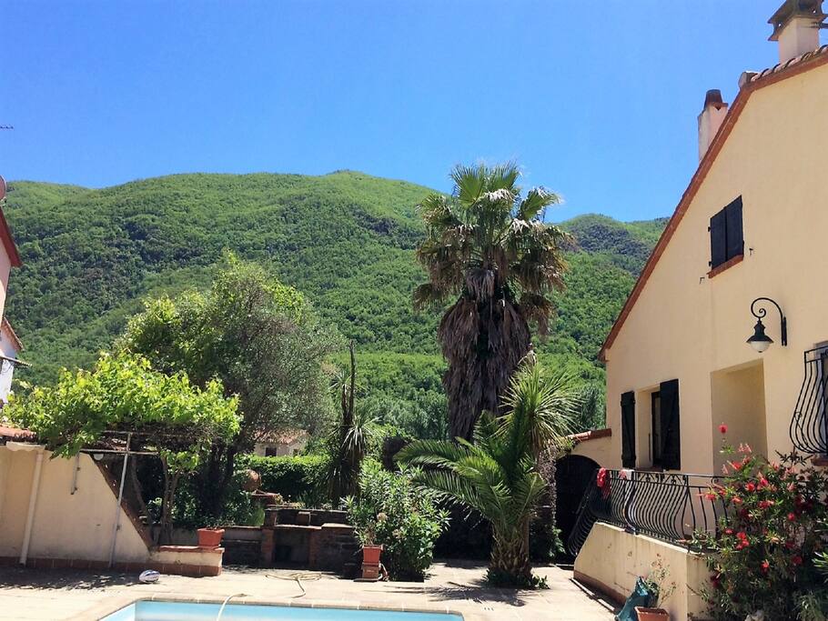 View from the pool