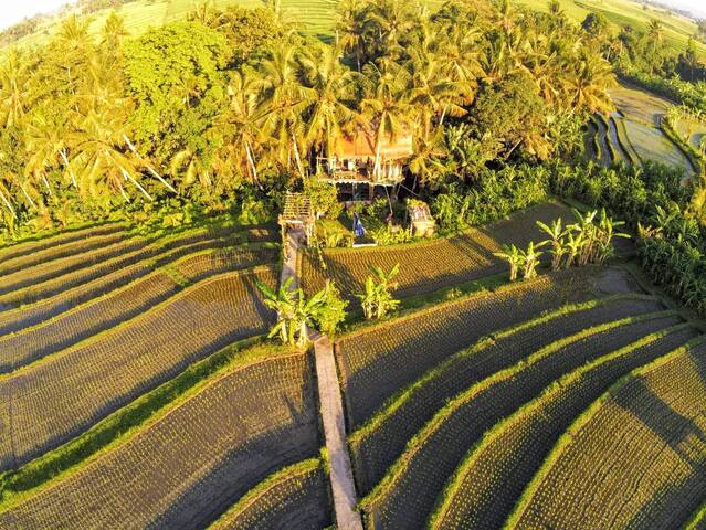 Airbnb Ubud Ferienwohnungen Unterkunfte Bali