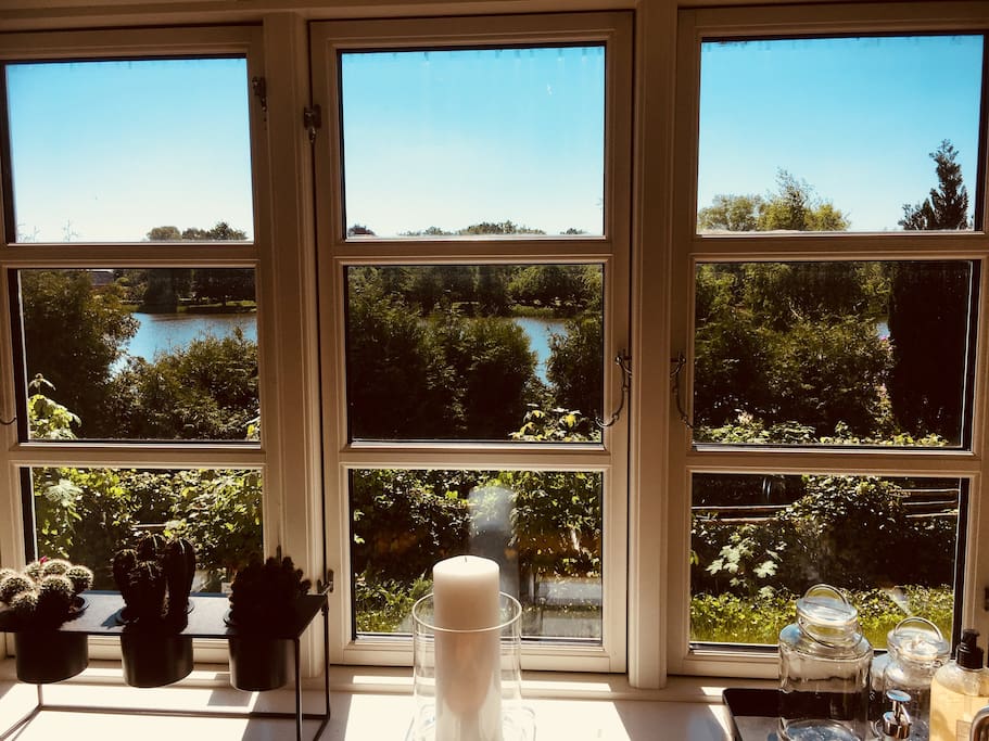 Lake view