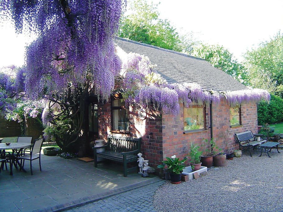 Patio area to enjoy sitting under magnificent Wisteria