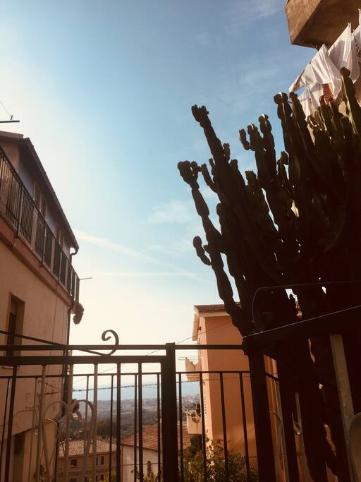 View from terrace