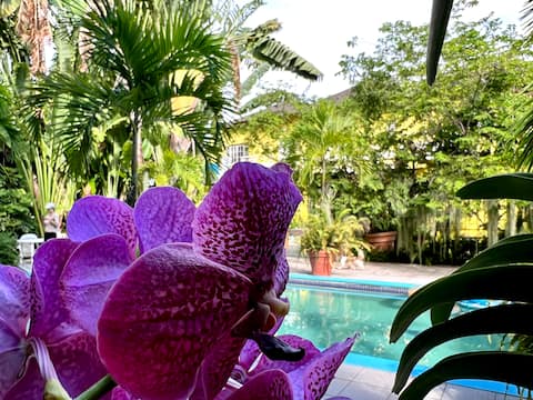 Orchid Cottage