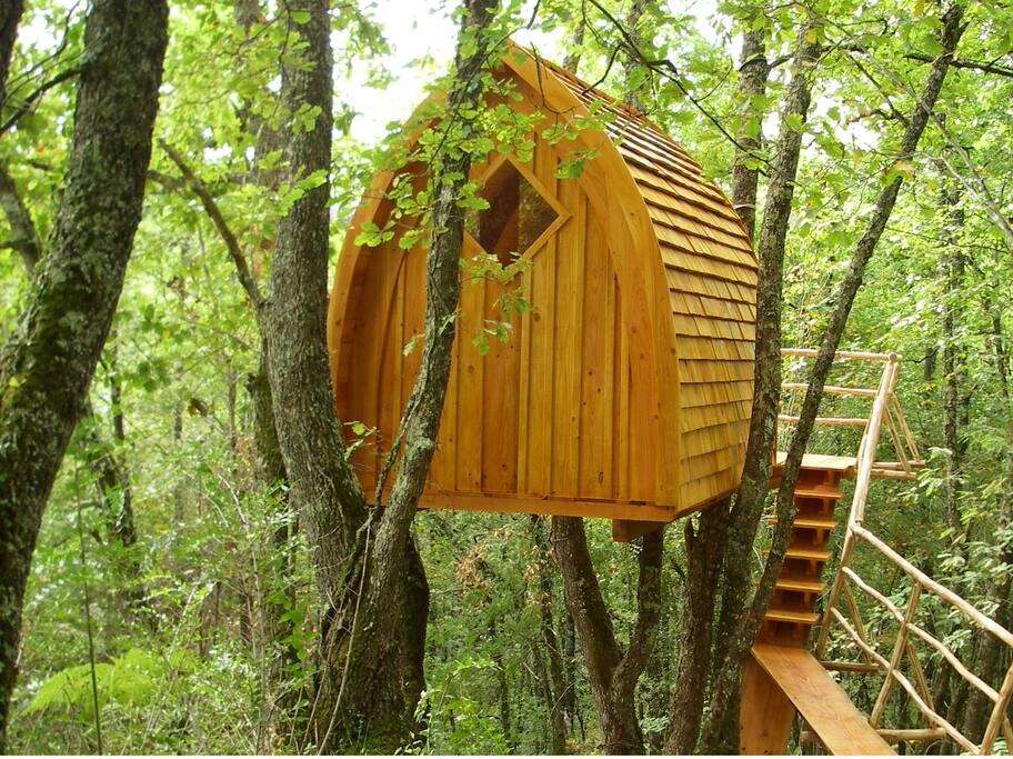 c2c2a826 2feb 4b05 93b8 6593e358fe9a