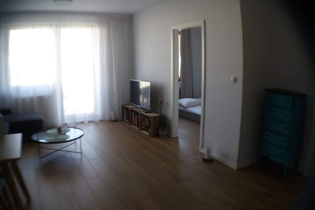 Salon z kuchnią, wyjście na balkon, rozkładana sofa