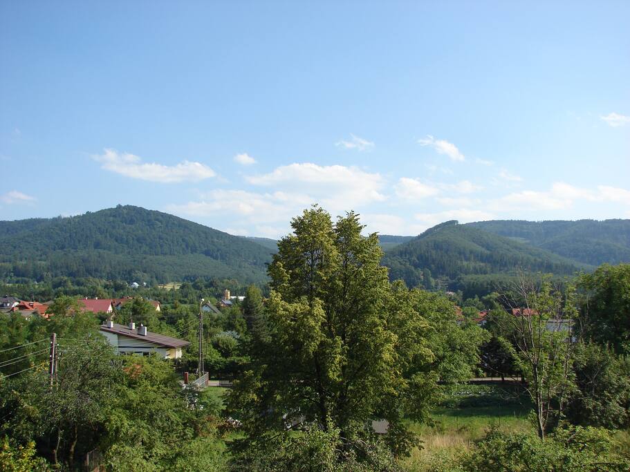 Apartament Junior - widoki