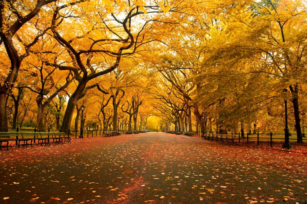 12 minute walk to Central Park.