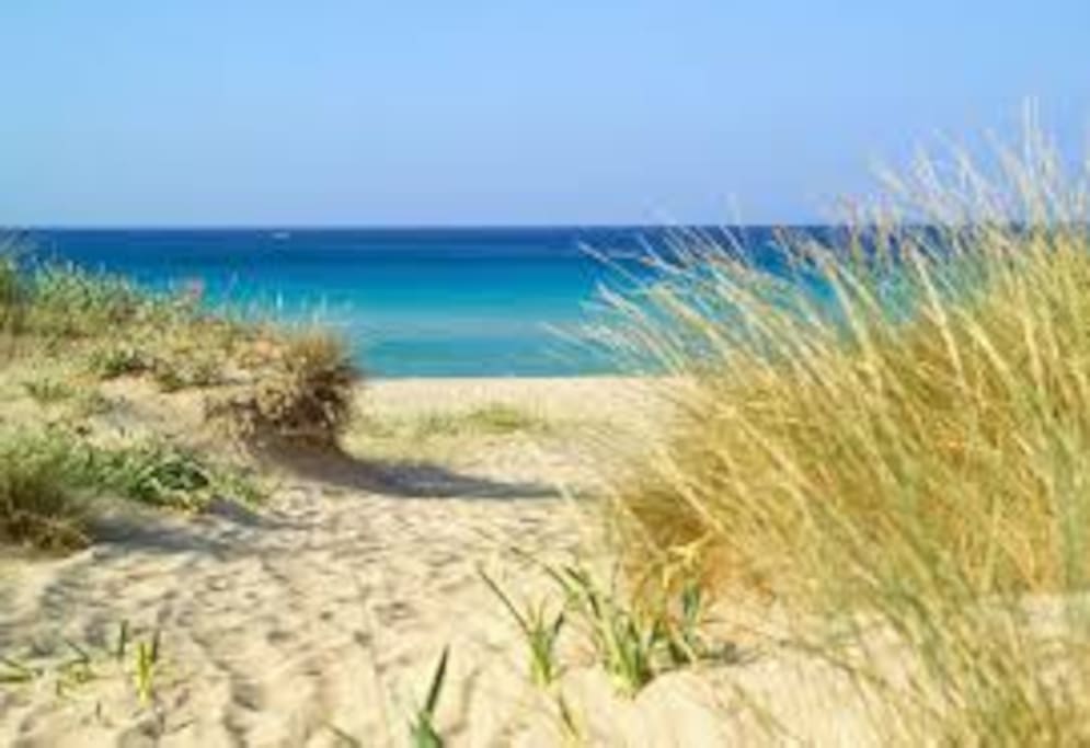 spiaggia.